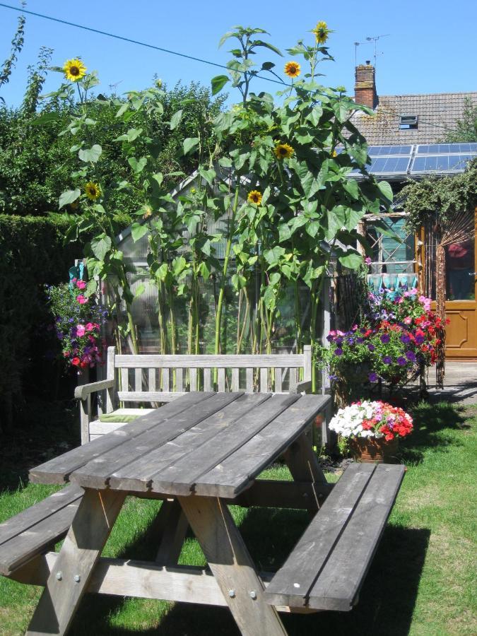Perfect For Petersfield B&B Dış mekan fotoğraf