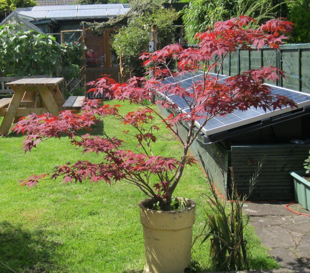 Perfect For Petersfield B&B Dış mekan fotoğraf